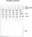 Fig. 01 - METHOD OF MANUFACTURING SEMICONDUCTOR STRUCTURE