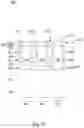 Fig. 48 - Integrated circuit structure and manufacturing method thereof