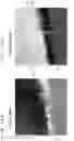 Fig. 13 - Bonded substrate, and method for manufacturing bonded substrate