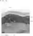 Fig. 19 - Bonded substrate, and method for manufacturing bonded substrate