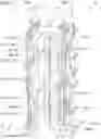 Fig. 03 - Element module