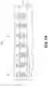 Fig. 09 - DIELECTRIC CAPACITANCE RECOVERY OF INTER-LAYER DIELECTRIC LAYERS FOR ADVANCED INTEGRATED CIRCUIT STRUCTURE FABRICATION