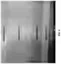 Fig. 03 - A PNICTIDE NANOCOMPOSITE STRUCTURE FOR LATTICE STABILIZATION