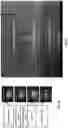Fig. 13 - A PNICTIDE NANOCOMPOSITE STRUCTURE FOR LATTICE STABILIZATION