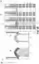 Fig. 12 - DUAL CONTACT PROCESS WITH SELECTIVE DEPOSITION