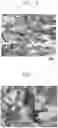 Fig. 06 - Thermoelectric material and preparation method therefor