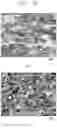 Fig. 11 - Thermoelectric material and preparation method therefor