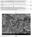 Fig. 02 - Method for recycling waste lithium iron phosphate by selective oxidation-reduction, recycled lithium iron phosphate, and lithium ion battery