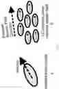 Fig. 07 - Apparatus for electromagnetic wave manipulation