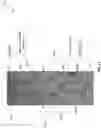 Fig. 13 - Differential amplifier including dual magnetically coupled feedback loops