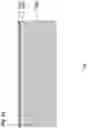 Fig. 22 - LITHIUM NIOBATE OR LITHIUM TANTALATE FBAR STRUCTURE AND FABRICATING METHOD THEREOF
