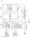 Fig. 09 - Weights safety mechanism in an artificial neural network processor