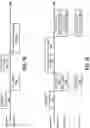 Fig. 13 - Frame exchange method for beamforming
