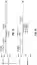 Fig. 15 - Frame exchange method for beamforming