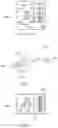 Fig. 02 - Dual-polarization beamforming