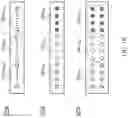 Fig. 11 - METHODS AND DEVICES FOR OPTICAL DATA COMMUNICATION WITH INTEGRATED DATA-TRANSPARENT OTDR