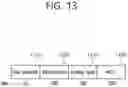 Fig. 14 - METHOD AND DEVICE FOR GENERATING STF SIGNAL IN WIRELESS LAN SYSTEM