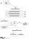 Fig. 02 - MESSAGING SOURCE VERIFICATION METHOD, APPARATUS, AND SYSTEM