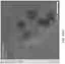 Fig. 155 - Automated application of drift correction to sample studied under electron microscope