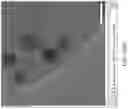 Fig. 157 - Automated application of drift correction to sample studied under electron microscope