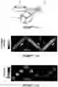 Fig. 07 - Single-shot compressed optical-streaking ultra-high-speed photography method and system