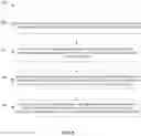 Fig. 08 - Secure link aggregation