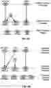 Fig. 06 - Wireless communications and power configurations