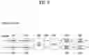 Fig. 06 - Method for transmitting and receiving synchronization signal block in unlicensed band, and device therefor