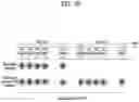 Fig. 20 - Method for transmitting and receiving synchronization signal block in unlicensed band, and device therefor