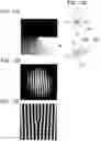 Fig. 09 - Spatially phase-modulated electron wave generation device