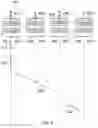 Fig. 05 - Wireless communications network, infrastructure equipment, communications device and methods