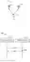 Fig. 02 - Methods and apparatuses for transmitting control information