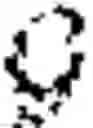 Fig. 08 - Distributed adaptive beamforming and nullforming for secure wireless communications