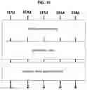 Fig. 19 - MULTIUSER COMMUNICATION METHOD AND DEVICE IN DISTRIBUTED WIRELESS LAN