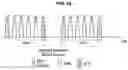 Fig. 25 - MULTIUSER COMMUNICATION METHOD AND DEVICE IN DISTRIBUTED WIRELESS LAN