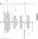 Fig. 09 - Control signalling for transmission in a channel occupancy time (COT) period in unlicensed frequency spectrum