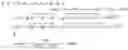 Fig. 11 - Social distance determination system and social distance determination method