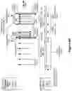 Fig. 04 - Adjustment of advertising interval in communications between an implantable medical device and an external device