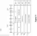 Fig. 12 - Transmission, retransmission, and hybrid automatic repeat request process using preconfigured uplink resources in idle mode