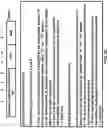 Fig. 33 - Network initiated release assistance information