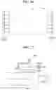 Fig. 22 - Display apparatus