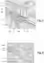 Fig. 04 - MODULE FOR DIGITAL DISPLAY PANEL AND ASSOCIATED DIGITAL DISPLAY PANEL