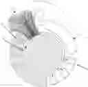 Fig. 01 - Plush pet toy