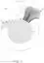 Fig. 03 - Plush pet toy