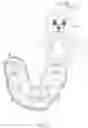 Fig. 06 - Plush pet toy