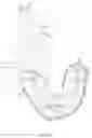 Fig. 07 - Plush pet toy