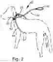 Fig. 03 - Adjustable dog lead with size-adaptable harness and detachable leash