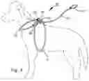 Fig. 05 - Adjustable dog lead with size-adaptable harness and detachable leash