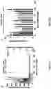Fig. 49 - GENETICALLY MODIFIED CELLS, TISSUES, AND ORGANS FOR TREATING DISEASE
