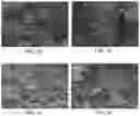 Fig. 02 - COLLOIDAL PLANT POWDER/EXTRACT ENCAPSULATION WITH PECTIN-PROTEIN COACERVATE GELS